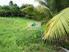 Photo de l'annonce Terrain constructible 3300 m² Le Lorrain Martinique #3
