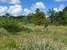 Photo de l'annonce Kourou terrain Kourou Guyane #1