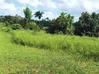 Photo de l'annonce Matoury terrain Matoury Guyane #0