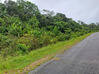 Photo de l'annonce terrain - Terrain de 20 000,00 m² Montsinéry-Tonnegrande Guyane #0