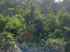 Photo de l'annonce terrain - Terrain de 20 000,00 m² Montsinéry-Tonnegrande Guyane #2