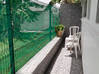 Photo de l'annonce APPARTEMENT F4 DUPLEX BELCOURT BAIE-MAHAULT Baie-Mahault Guadeloupe #12