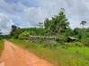 Photo de l'annonce Montsinery Tonnegrande terrain -... Montsinéry-Tonnegrande Guyane #3