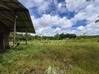 Photo de l'annonce Montsinery Tonnegrande terrain -... Montsinéry-Tonnegrande Guyane #13
