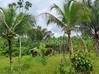 Photo de l'annonce Montsinery Tonnegrande terrain -... Montsinéry-Tonnegrande Guyane #14