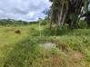 Photo de l'annonce Montsinery Tonnegrande terrain -... Montsinéry-Tonnegrande Guyane #15