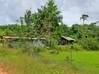 Photo de l'annonce Montsinery Tonnegrande terrain -... Montsinéry-Tonnegrande Guyane #16