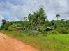 Photo for the classified Montsinery Tonnegrande terrain -... Montsinéry-Tonnegrande Guyane #18
