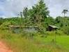 Photo de l'annonce Montsinery Tonnegrande terrain -... Montsinéry-Tonnegrande Guyane #19
