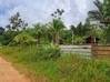 Photo de l'annonce Montsinery Tonnegrande terrain -... Montsinéry-Tonnegrande Guyane #20