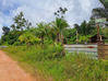 Photo de l'annonce Montsinery Tonnegrande terrain -... Montsinéry-Tonnegrande Guyane #28