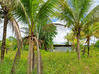 Photo de l'annonce Montsinery Tonnegrande terrain -... Montsinéry-Tonnegrande Guyane #29