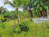 Photo de l'annonce Montsinery Tonnegrande terrain -... Montsinéry-Tonnegrande Guyane #30