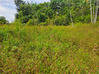 Photo de l'annonce Montsinery Tonnegrande terrain -... Montsinéry-Tonnegrande Guyane #35