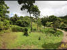 Photo de l'annonce Sainte Luce - Terrain de 2 868,00 m² Sainte-Luce Martinique #1