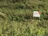 Photo de l'annonce TERRAIN BORDURE NATIONALE Douville Guadeloupe #0