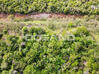 Video for the classified Terrain Mandara Résidence, Red Pond $305,000 Agrement Saint Martin #11