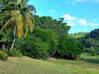 Photo de l'annonce Sainte-Anne (971), 4400m²terrain constructible Sainte-Anne Guadeloupe #3