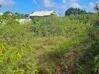 Photo de l'annonce Terrain plat de 1 615 m2 proche de la plage Sainte-Anne Guadeloupe #2