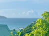 Photo for the classified Exclude renovated apartment 2 bedrooms St Jean sea view Saint Barthélemy #7