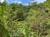 Photo for the classified ROUGE BAY FIELD Terres Basses Saint Martin #21