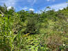 Photo for the classified ROUGE BAY FIELD Terres Basses Saint Martin #22