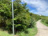 Photo for the classified ROUGE BAY FIELD Terres Basses Saint Martin #29