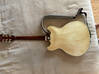 Photo for the classified Guitar ibanez half body Saint Martin #1