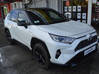 Photo de l'annonce Toyota Rav4 Hybride 222 ch Awd-i Collection Guadeloupe #1