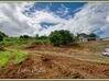 Photo de l'annonce Terrain de 1500 m² à la limite Lamentin (Palmiste) / Saint-Joseph Martinique #4