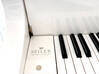 Foto do anúncio Johannes Seiler Piano de cauda São Bartolomeu #5