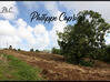 Photo de l'annonce Terrain Constructible Basse Pointe 722m2 Basse-Pointe Martinique #1