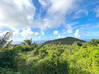 Photo for the classified Land with amazing views and building permit SXM Paradis Saint Martin #3