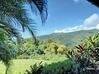 Photo de l'annonce Propriété de 3 villas T3 avec piscine un T3 et deux T1 vue Pointe-Noire Guadeloupe #13