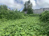 Photo de l'annonce Terrain Constructible Le Tampon 324M2 Le Tampon La Réunion #3