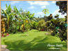 Photo de l'annonce maison P3 de 99 m² - Terrain de 1... Petit-Bourg Guadeloupe #7