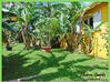 Photo de l'annonce maison P3 de 99 m² - Terrain de 1... Petit-Bourg Guadeloupe #22