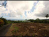 Photo de l'annonce Terrain Constructible Basse Pointe Basse-Pointe Martinique #3