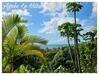 Photo de l'annonce Propriété Vue Mer à recréer Bouillante Guadeloupe #1