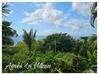 Photo de l'annonce Propriété Vue Mer à recréer Bouillante Guadeloupe #2