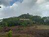 Photo de l'annonce Terrain De Qualite Montsinéry-Tonnegrande Guyane #0