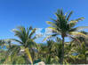 Photo for the classified Oriental Bay 4 Br House+Garden+Sea View Saint Martin #3