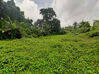 Photo de l'annonce Terrain L Ajoupa Bouillon 1363 m2 Ajoupa-Bouillon Martinique #1