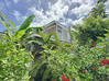 Photo de l'annonce Saint-Francois maison 4 pièces de 150 m² - Terrain de 163 m² Saint-François Guadeloupe #2