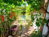 Photo de l'annonce Cul De Sac - Maison Individuelle - Jardin Clos - Piscine Saint-Martin #3