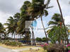 Photo de l'annonce Sur la plage...parcelle de 365 m² Le Vauclin Martinique #7