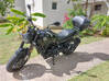 Photo for the classified Benelli Leoncino 500 Motorcycle Saint Martin #0