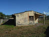 Photo de l'annonce maison 4 p, 62,4 m² - Terrain de 347,00 m² - Plain pied Sainte-Marie Martinique #12