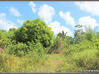 Photo de l'annonce A Macouria (Guyane Française) Un Terrain Constructible De 3 Macouria Guyane #1