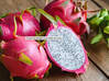 Photo for the classified Dragon Fruit with Fruit on the Tree Saint Martin #2